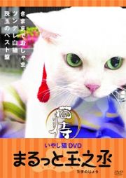 いやし猫ＤＶＤ　猫侍　まるっと玉之丞