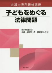 弁護士専門研修講座　子どもをめぐる法律問題