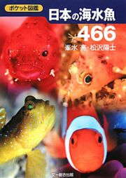 日本の海水魚４６６