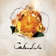 Ｃａｌｅｎｄｕｌａ