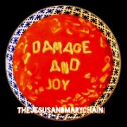 ＤＡＭＡＧＥ　ＡＮＤ　ＪＯＹ