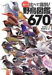 ♪鳥くんの比べて識別！野鳥図鑑６７０