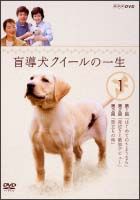 盲導犬クイールの一生　１