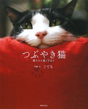 つぶやき猫