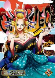 ＯＮＥ　ＰＩＥＣＥ　ワンピース　２０ＴＨシーズン　ワノ国編　ｐｉｅｃｅ．３０　ＤＶＤ