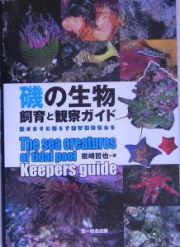 磯の生物飼育と観察ガイド