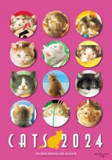 ビッグコミックオリジナル村松誠猫カレンダー　２０２４年