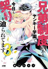 兄弟制度のあるヤンキー学園で、今日も契りを迫られてます３