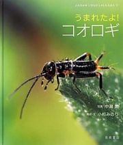 うまれたよ！コオロギ　よみきかせいきものしゃしんえほん１７