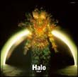 Ｈａｌｏ