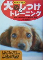 犬のしつけ＆トレーニング