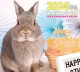 みんなのうさぎ　ＨＡＰＰＹ　ＣＡＬＥＮＤＡＲ２０２５