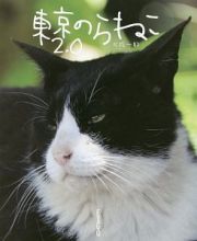 東京のらねこ２．０