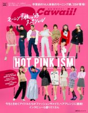 ＨＯＴ　ＰＩＮＫ　ＩＳＭ　モーニング娘。’２３スペシャル