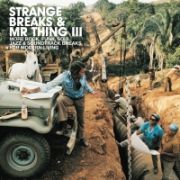 ＳＴＲＡＮＧＥ　ＢＲＥＡＫＳ＆ＭＲ　ＴＨＩＮＧ　３