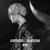 ＡＮＳＷＥＲ．．．　ＳＨＡＤＯＷ（Ｂ）