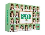 全力！欅坂４６バラエティー　ＫＥＹＡＢＩＮＧＯ！　ＤＶＤ－ＢＯＸ