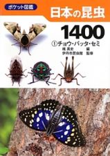 日本の昆虫１４００　チョウ・バッタ・セミ