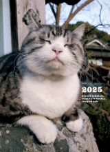 岩合光昭　ねこ手帳　２０２５