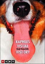 ＲＡＰＨＬＥＳ　ＶＩＳＵＡＬ　ＨＩＳＴＯＲＹ