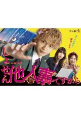 しょせん他人事ですから　～とある弁護士の本音の仕事～　ＤＶＤ－ＢＯＸ