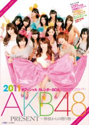 ＡＫＢ４８　オフィシャルカレンダーＢＯＸ　２０１１　ＰＲＥＳＥＮＴ～神様からの贈り物～