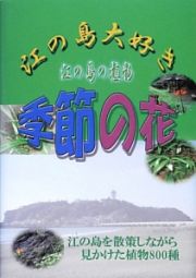 江の島大好き江の島の植物　季節の花