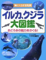 イルカ、クジラ大図鑑