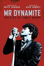 ＭＲ　ＤＹＮＡＭＩＴＥ　：　ＴＨＥ　ＲＩＳＥ　ＯＦ　ＪＡＭＥＳ　ＢＲＯＷＮ　（ＤＶＤ）