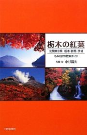 栃木の紅葉　もみじ狩り散策ガイド