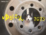 ＪＴＢのカレンダーゆるにゃん沖昌之壁掛け猫　２０２３