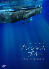 プレシャス・ブルー　カリブ海・クジラの親子と出会う旅