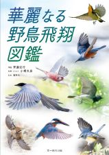 華麗なる野鳥飛翔図鑑