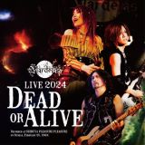 Ｌｉｖｅ　２０２４　－Ｄｅａｄ　ｏｒ　Ａｌｉｖｅ－