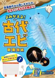 よみがえる！　古代エビ研究ラボ