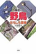 身近な野鳥のおもしろ現場