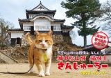 猫城主さんじゅーろーカレンダー　備中松山城　２０２３