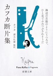 カフカ断片集　海辺の貝殻のようにうつろで、ひと足でふみつぶされそうだ