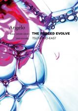 ＬＩＶＥ　ＤＶＤ　Ａｎｇｅｌｏ　Ｔｏｕｒ　２０２０－２０２１「ＴＨＥ　ＦＯＲＣＥＤ　ＥＶＯＬＶＥ」