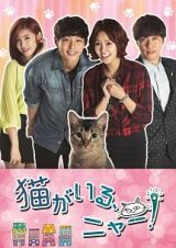 猫がいる、ニャー！　ＤＶＤ－ＢＯＸＩＩ