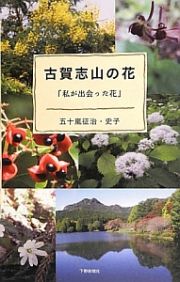 古賀志山の花