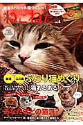 ねこねた　新春スペシャル猫づくしっ！