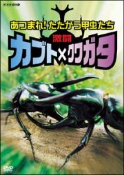 激闘　カブト×クワガタ　～あつまれ！たたかう甲虫たち～