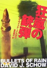 狂嵐の銃弾