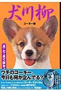 犬川柳　コーギー編