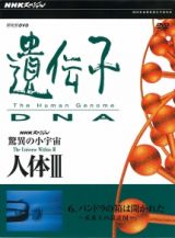 驚異の小宇宙　人体ＩＩＩ　遺伝子・ＤＮＡ第３集　日本人のルーツを探れ～人類の設計図～