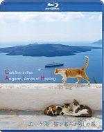 エーゲ海・猫が暮らす癒しの島
