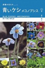 青いケシ　メコノプシス　原種の花たち２