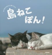 島ねこぽん！