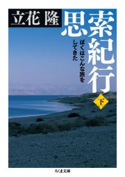 思索紀行（下）　ぼくはこんな旅をしてきた